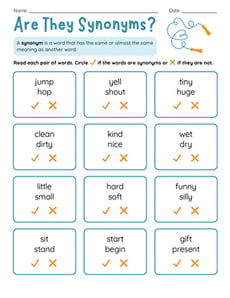 Are They Synonyms?