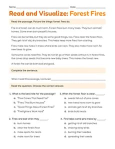 Read and Visualize: Forest Fires