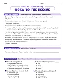 Read for Understanding: Rosa to the Rescue