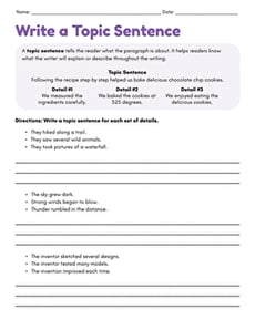 Write a Topic Sentence