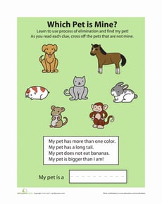 Process of Elimination: Pets