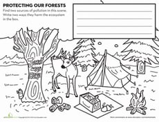 Protecting Forests