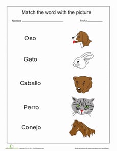 Match the Animals in Spanish