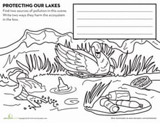 Protect Lakes