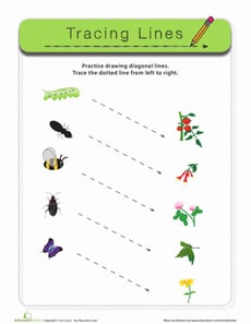 Diagonal Lines: Bugs