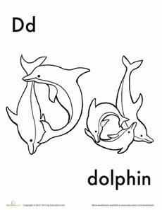 D for Dolphin