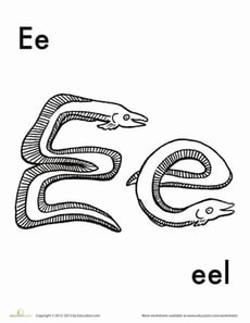 E for Eel