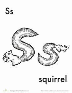 S for Squirrel