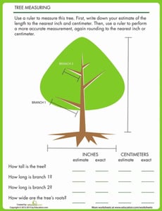 Tree Measuring
