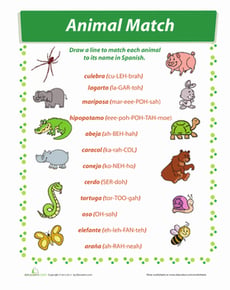 Animals in Spanish: Match-Up