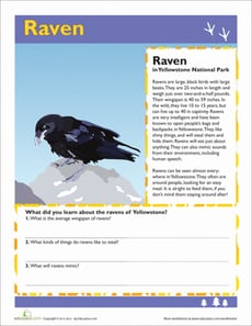 Raven
