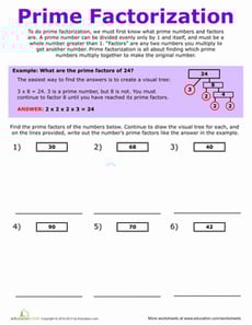 Prime Factorization Explained