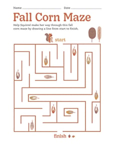 Fall Corn Maze