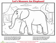 How to Measure: Elephant