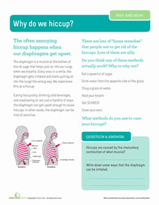 Why Do We Hiccup?