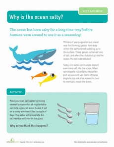 Why is the Ocean Salty?