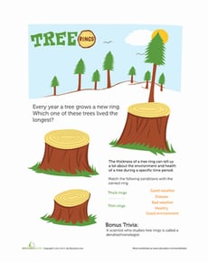 Count the Tree Rings