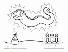 Mad Scientist Eel