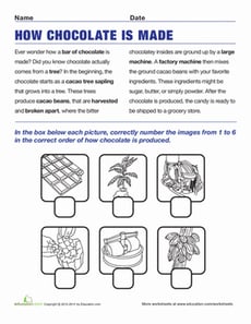 How Chocolate is Made