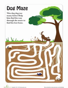 Find the Bone!
