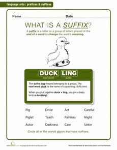 What Is a Suffix?