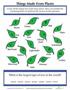 Things Made From Plants
