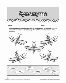 Synonyms