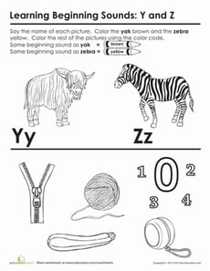Words that Start with Y and Z