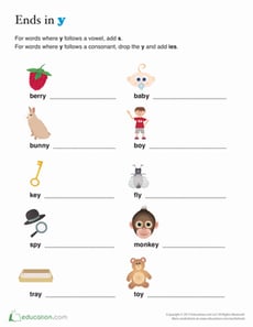 Plural Words Ending in -ies
