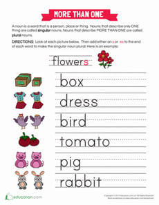 Plural Forms of Words