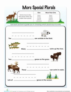 Irregular Plural Nouns