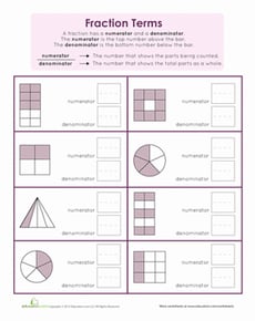 Numerator and Denominator: Basic Fraction Terms