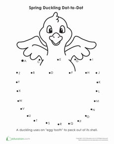 Spring Dot to Dot