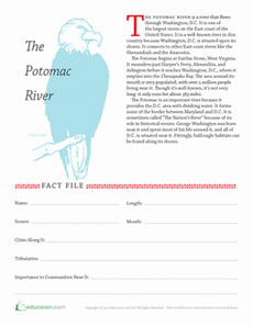 The Potomac River