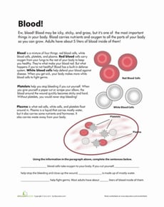 Blood