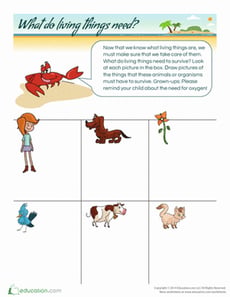 What Do Living Things Need?