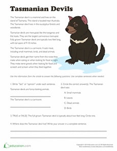 Tasmanian Devil Facts