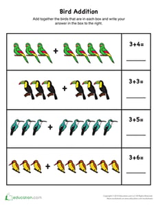 Bird Addition