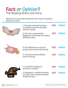 Fact or Opinion: The Basking Shark and More