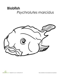 Blobfish Coloring Page