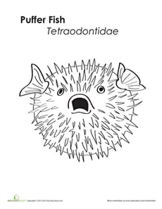 Unique Puffer Fish Coloring Page