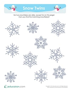 Snowflake Science