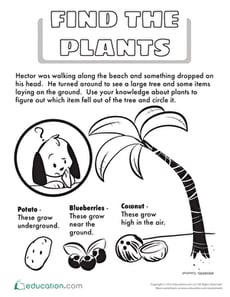 Find the Plants