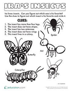 Ira's Insects