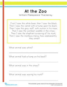 At the Zoo