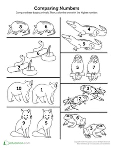 Comparing Numbers: Bayou Animals