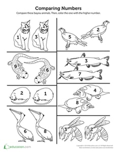 More Bayou Animals: Comparing Numbers