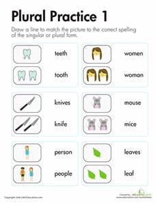 Irregular Plurals: Plural Practice 1