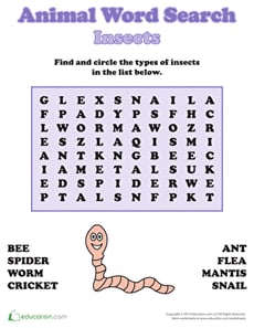 Insects Word Search