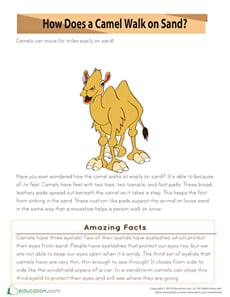 Camel Code Addition and Subtraction